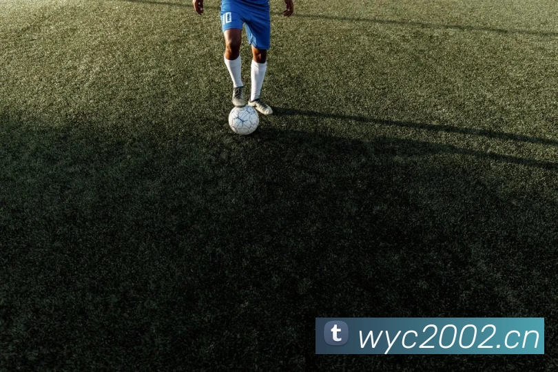 尊龙凯时 - 官方网站平台生态图